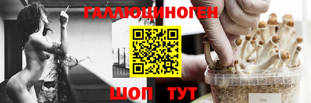 Псилоцибиновые грибы мухоморы  Вход с VPN  Сорочинск 
